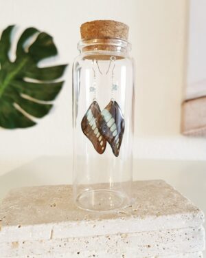 Handmade Real Butterfly Earrings - Common Bluebottle