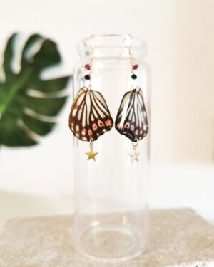 Handmade Butterfly Earrings - Hestina Assimilis