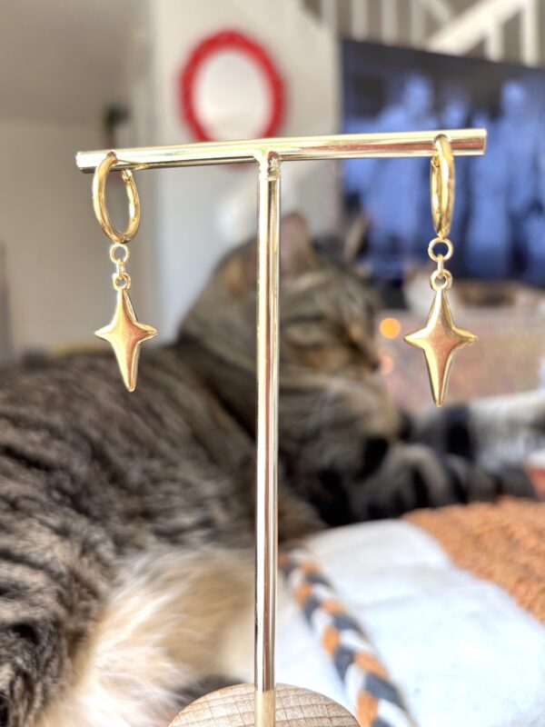 Galaxy Jewelry Collection - Star Earrings/Stainless Steel - Image 7