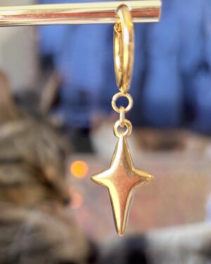 Galaxy Jewelry Collection - Star Earrings/Stainless Steel